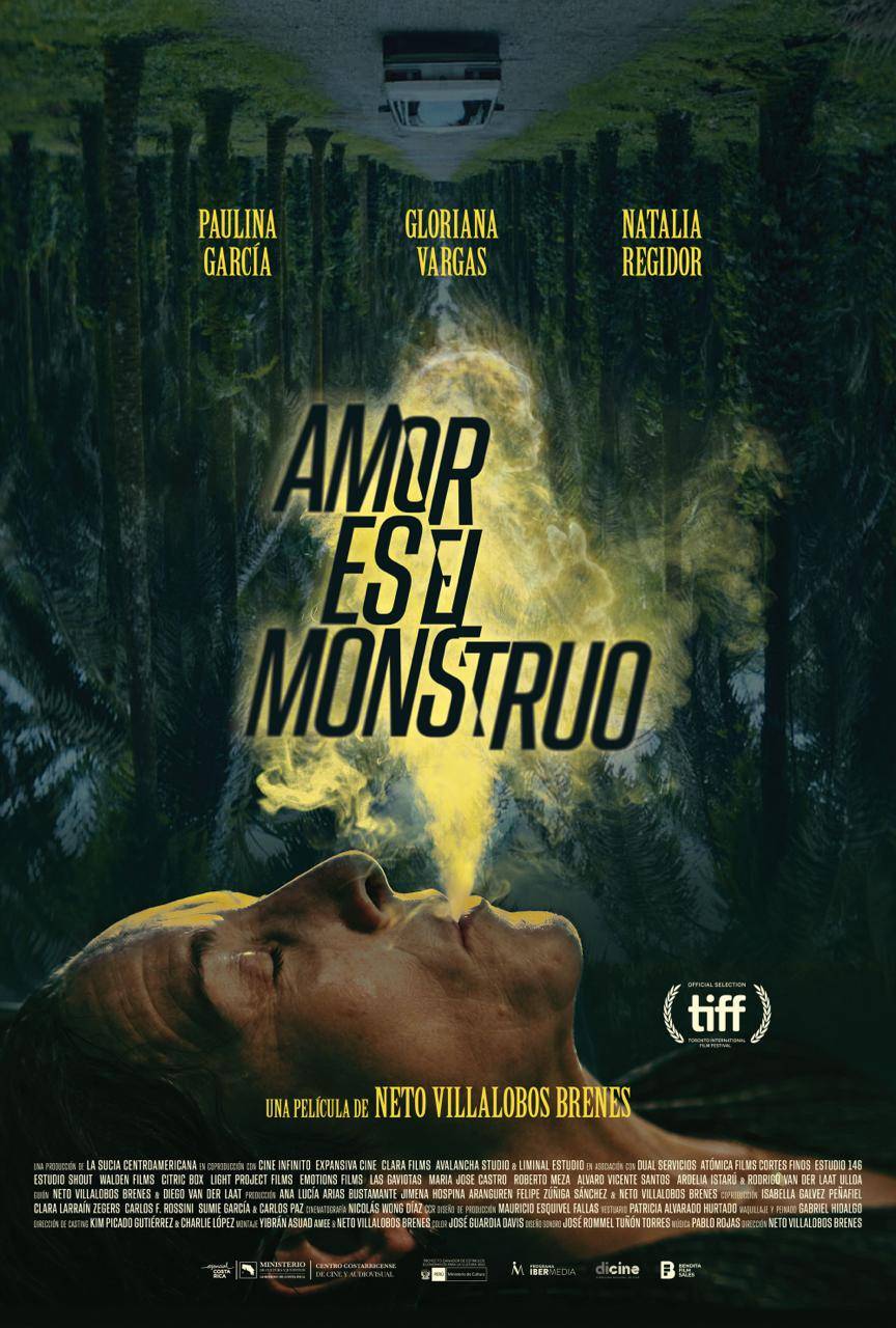 Afiche de Amor es el monstruo